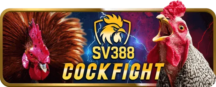 Cách thức tham gia Chương trình VIP bet89 code